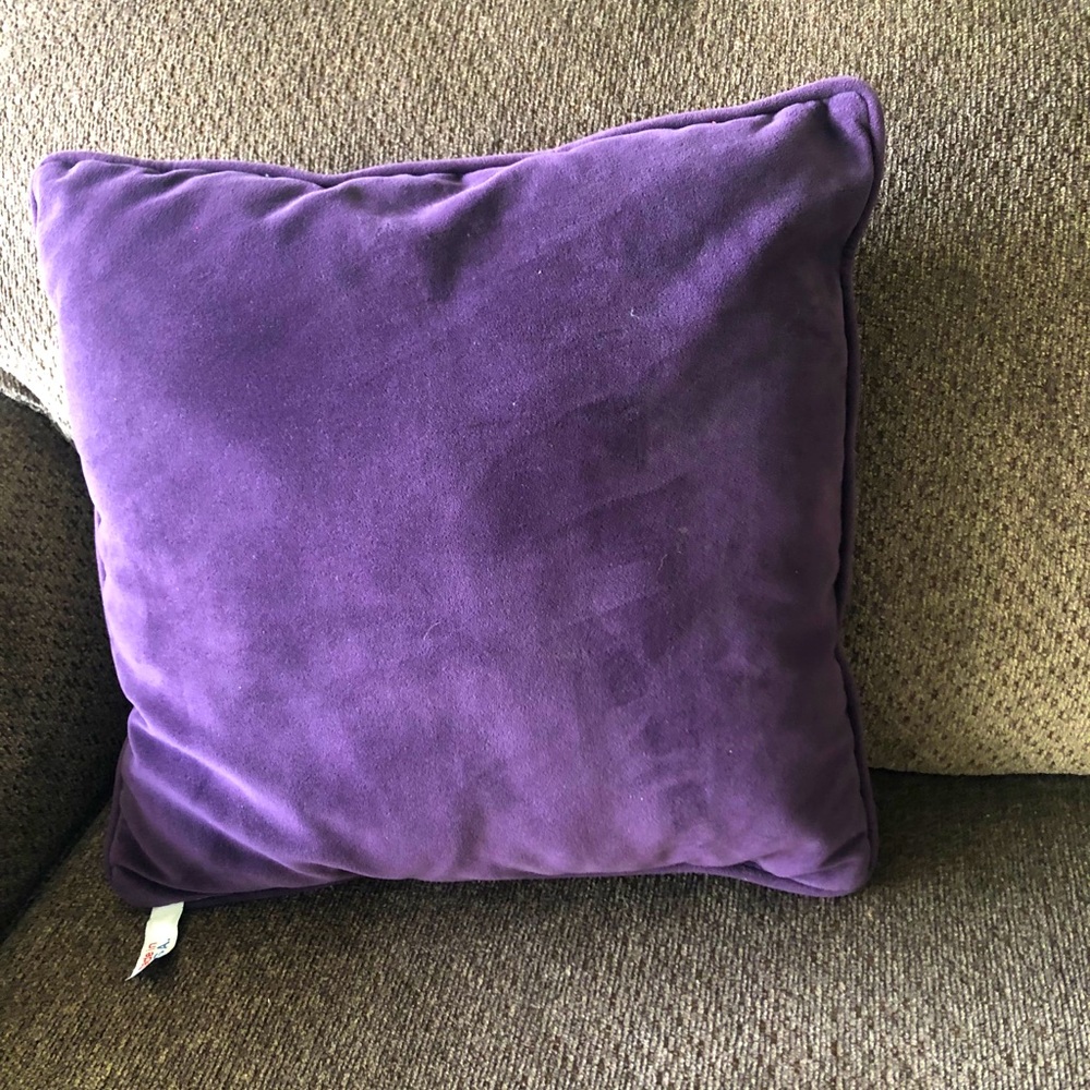 Purple Velvet Pillow